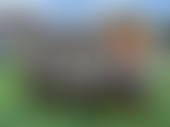 JUNIORES REGIONALE | LA LAVAGNESE SBANCA IL "TANCA", CANALETTO BATTUTO 0-1