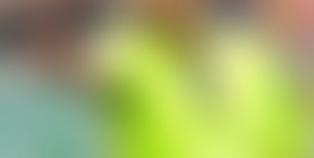 JUNIORES REGIONALI | DESIGNAZIONE ARBITRALE UNDER 19 GIRONE EB 12a GIORNATA