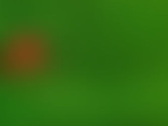 DECISIONI DEL GIUDICE SPORTIVO DOPO LA 1a GIORNATA JUNIORES REGIONALI UNDER 19 GIRONE EB