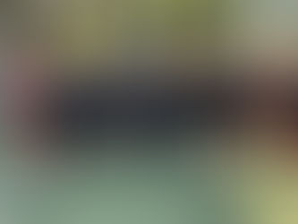 JUNIORES NAZIONALI | LAVAGNESE E VIRTUS ENTELLA U17 METTONO "BENZINA NELLE GAMBE" CON L'AMICHEVOLE AL DANERI