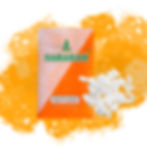 25g camphor capsule tablets and front packaging TM - saranam