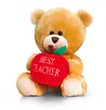 Teacherteddy.webp