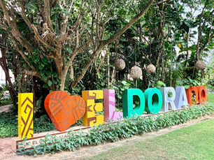 🌴 Which Lomas Hospitality Resort Is Right for You? My Firsthand Guide to 7 Riviera Maya Resorts