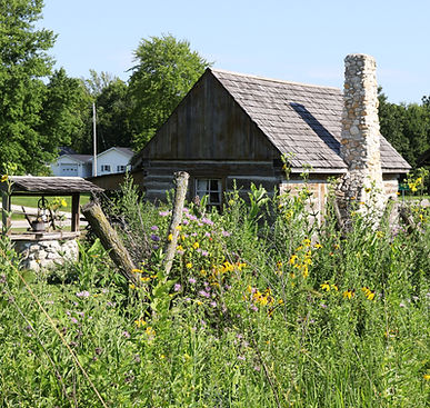 Historic cabin with vegetation