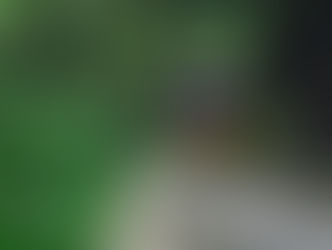 Cómo llegar a Machu Picchu desde Cusco