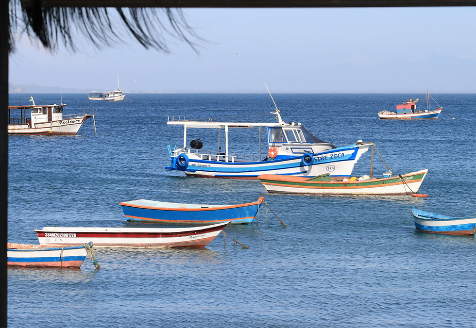 Barcquitos coloridos de búzios