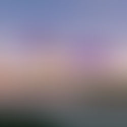 Nuevo vuelo Rosario a Punta Cana con Arajet