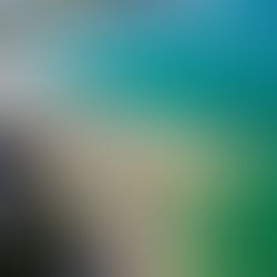 ¿Dónde alojarse en Porto de Galinhas?