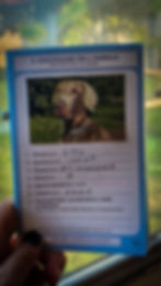 Imagen de pasaporte de Otto con sus datos