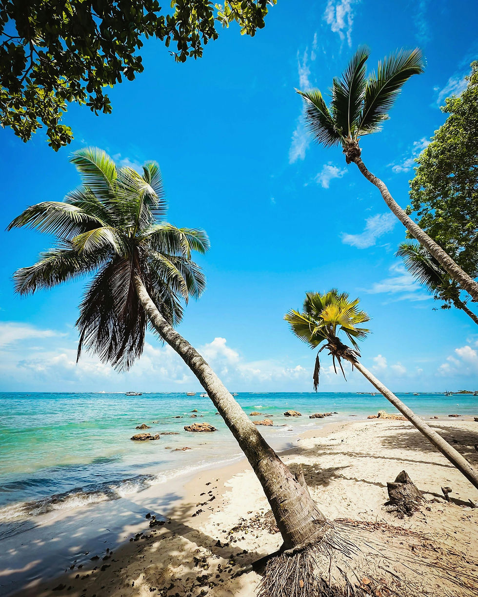 Playa de aguas claras en Morro de Sao Paulo