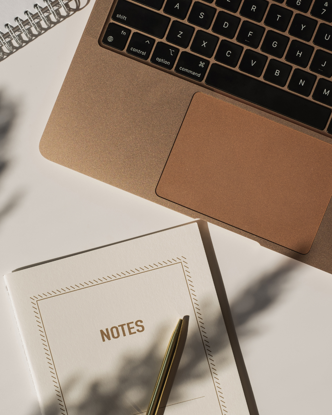 Website Management & Optimization