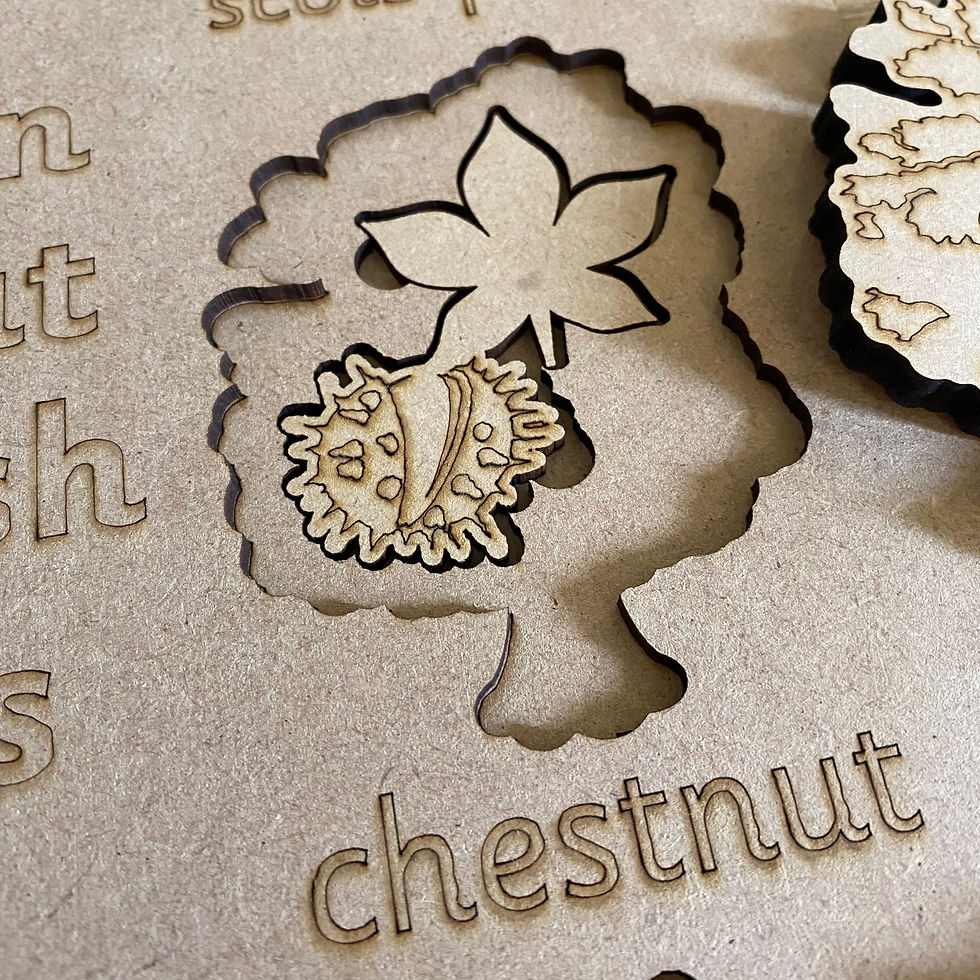 Thumbnail: Learn about British Trees Activity Puzzle Lid