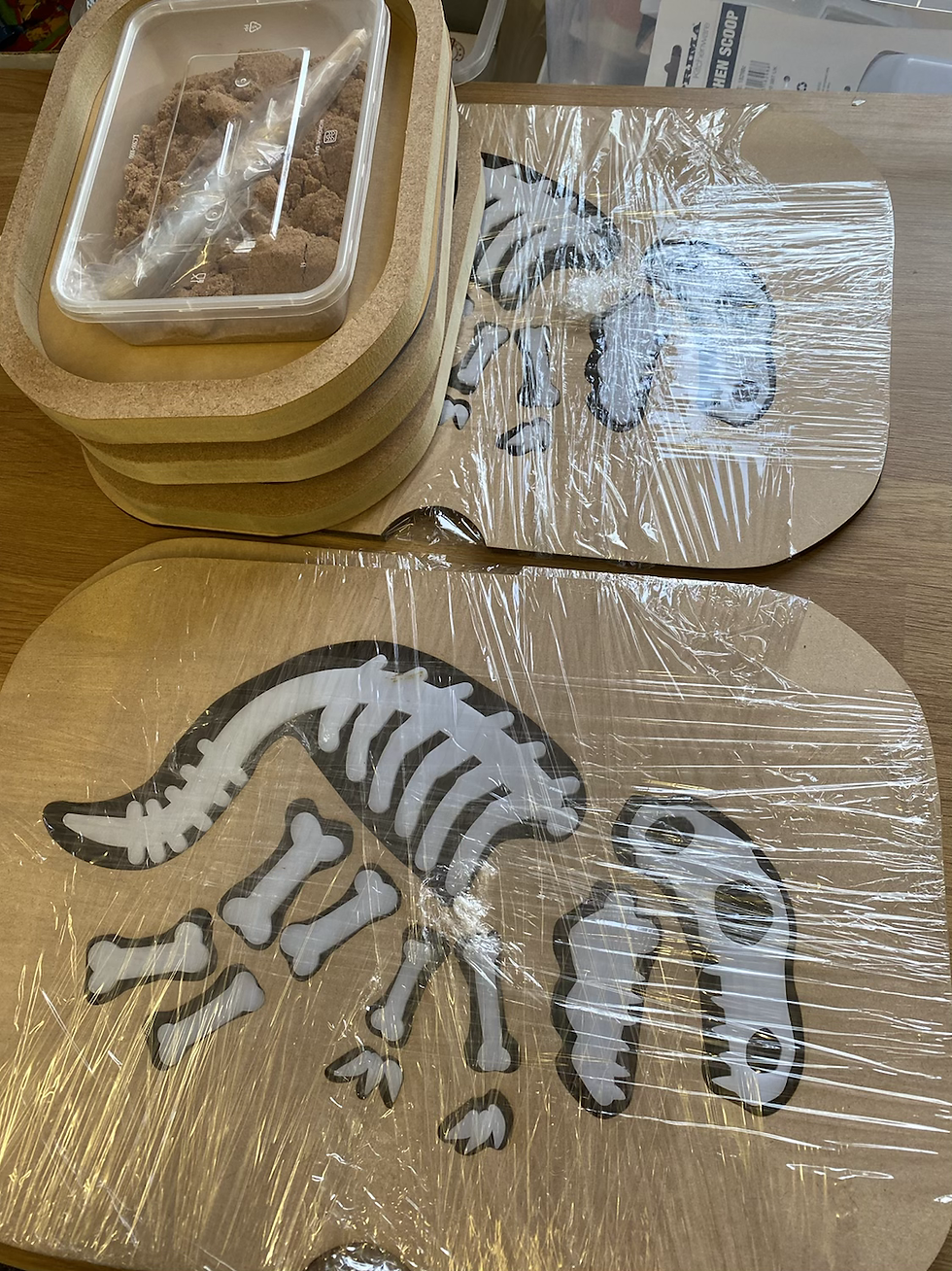 Thumbnail: Activity Lids - Dinosaur Palaeontology