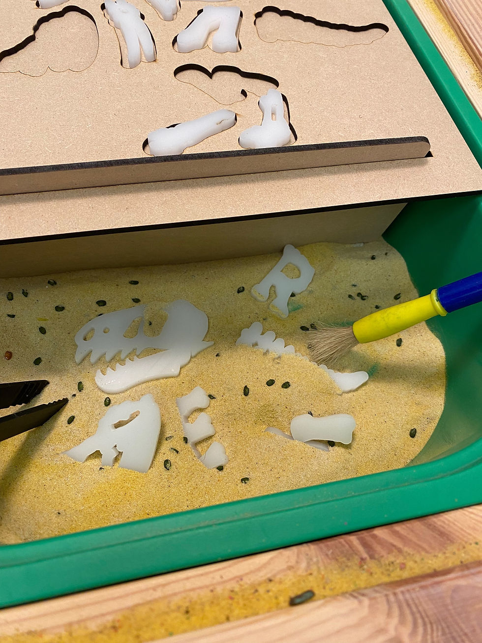 Thumbnail: T REX bone dig Lid