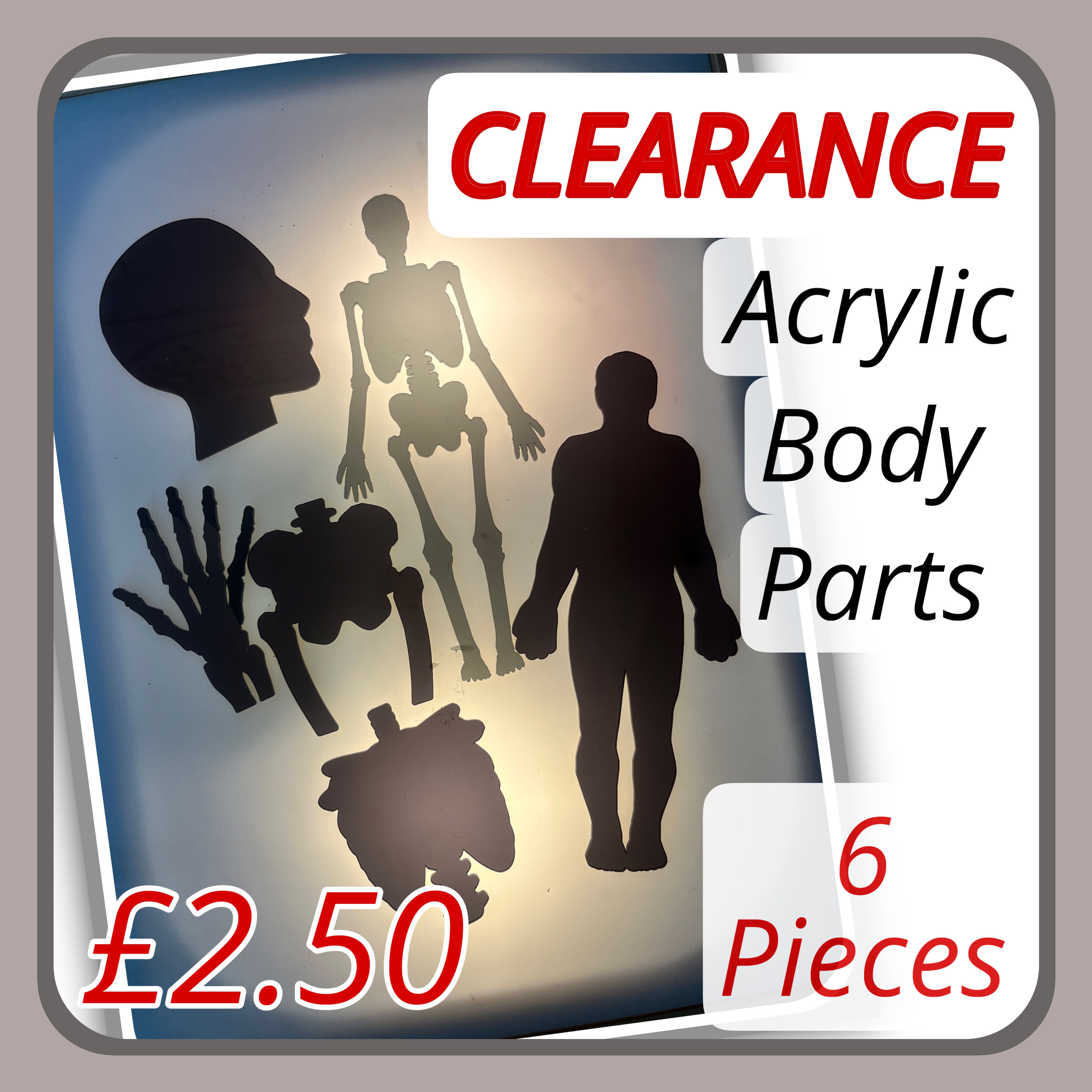 CLEARANCE acrylic body part set 