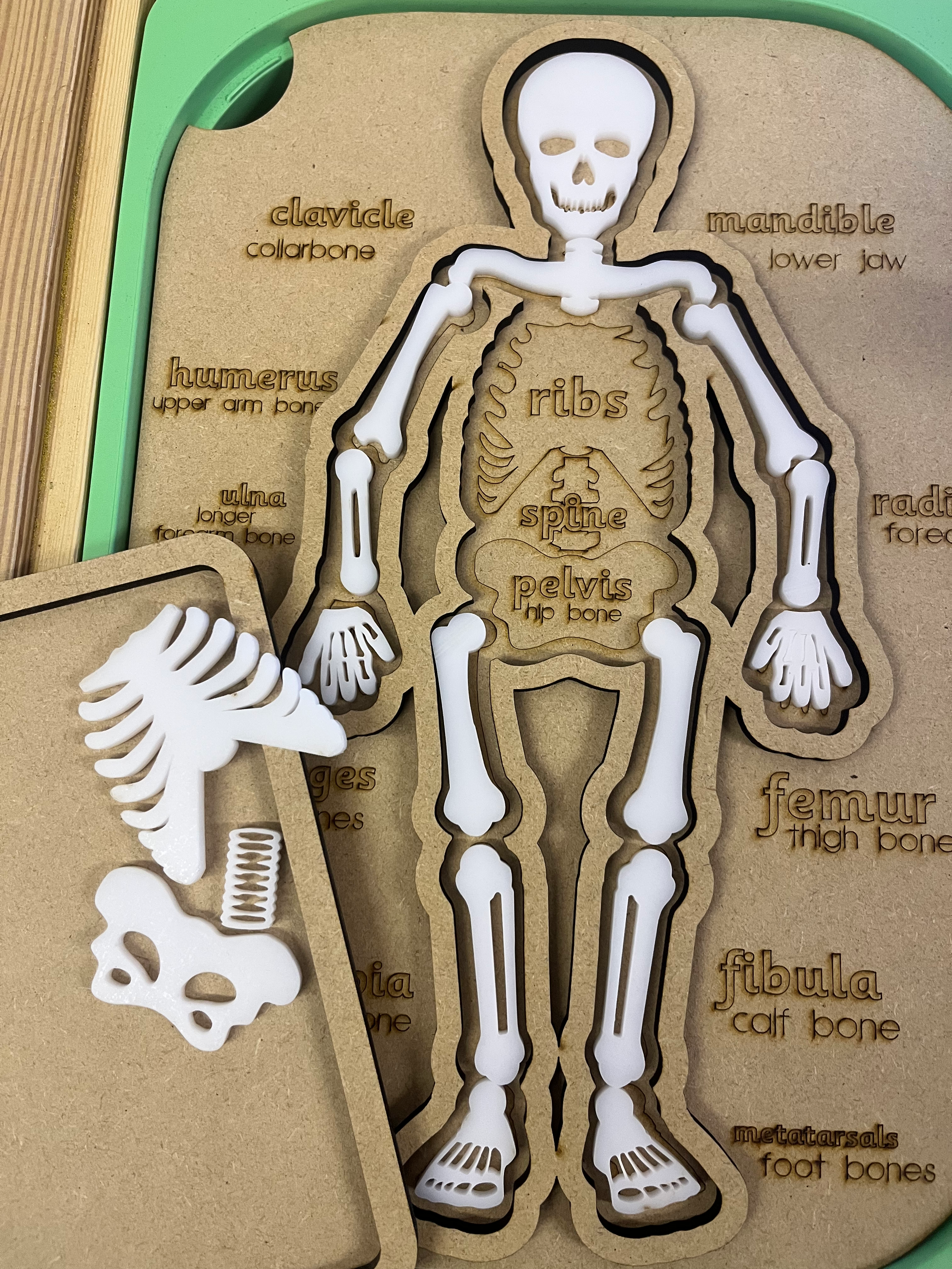 Skeleton Puzzle activity lid 