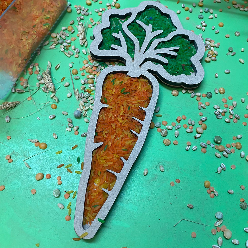 Thumbnail: BASICS Harvest Large Sensory trays