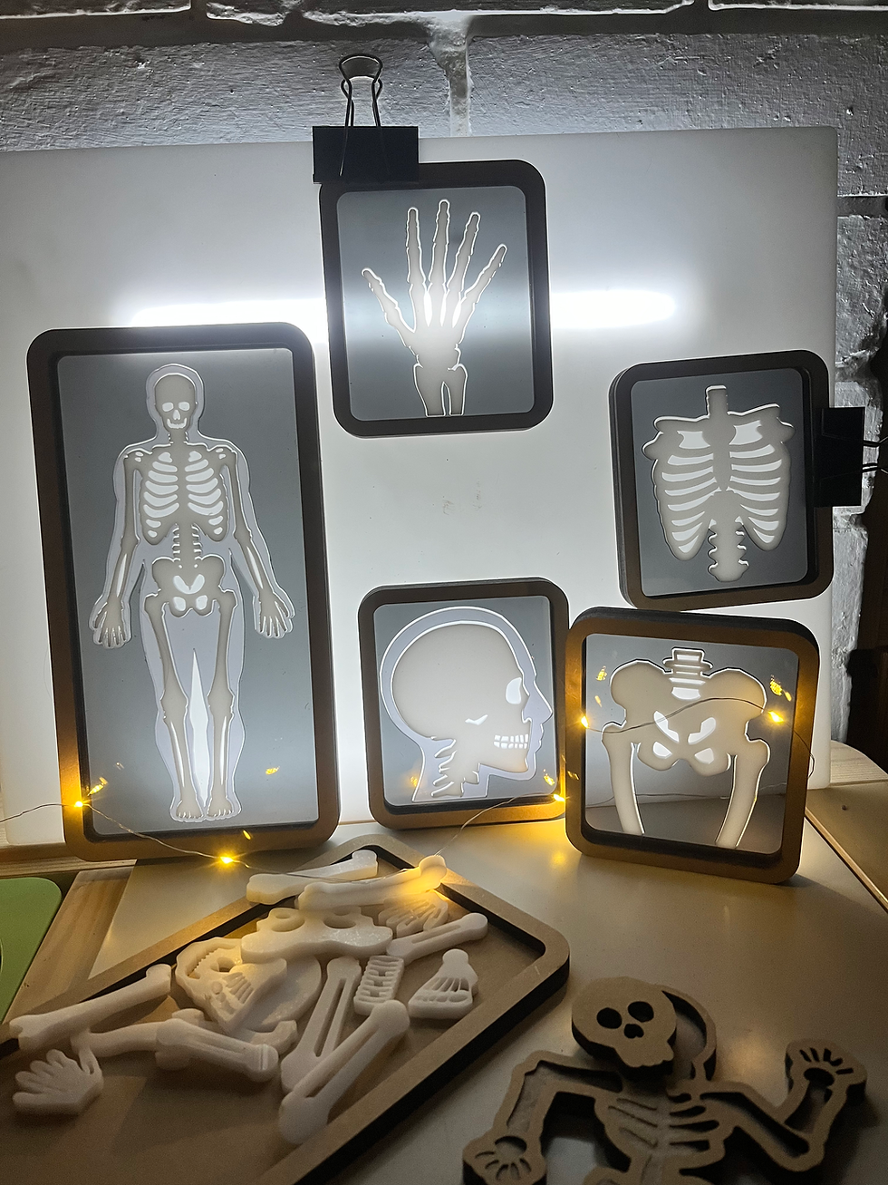 Thumbnail: X-Ray sensory blocks set of 5