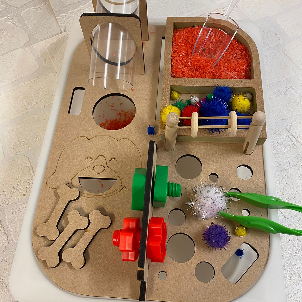 Thumbnail: Fine Motor Skills Multi Activity Lid