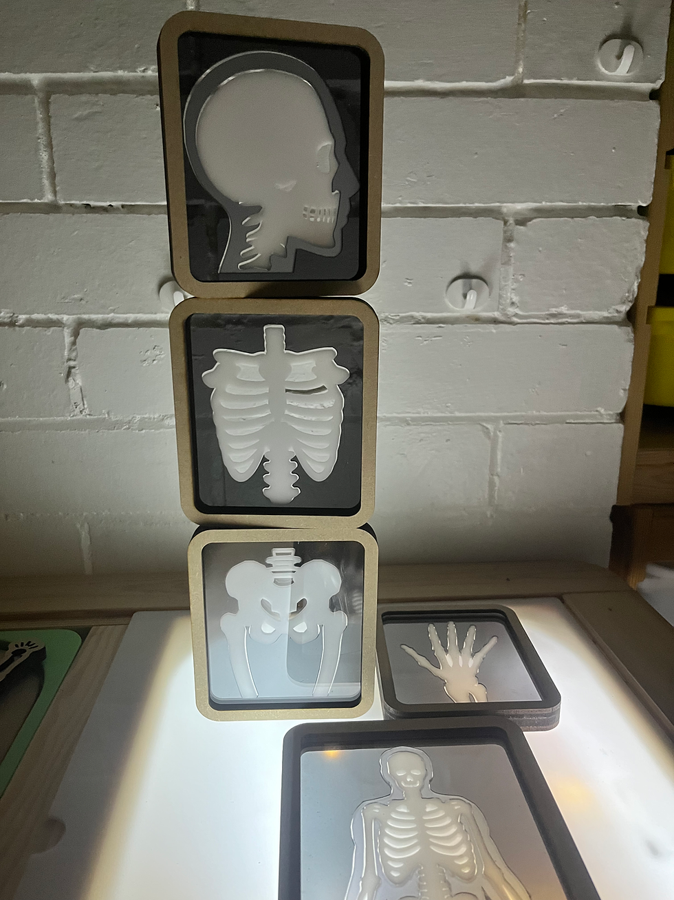 Thumbnail: X-Ray sensory blocks set of 5
