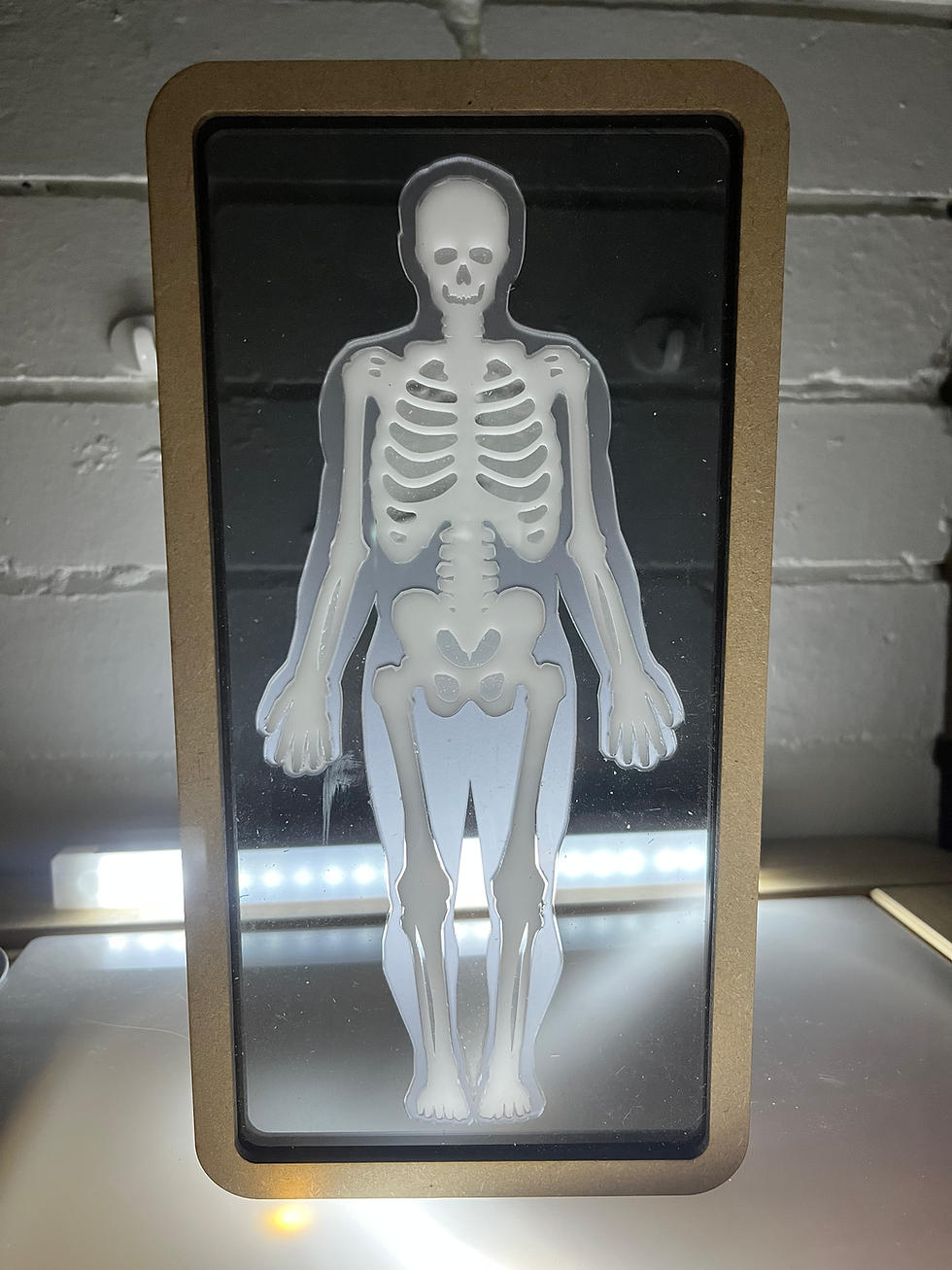Thumbnail: X-Ray sensory blocks set of 5