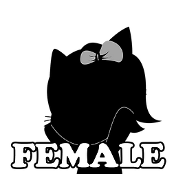 Female c.png