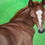 Thumbnail: Brown foal painting, green background