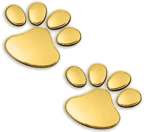 gold paws