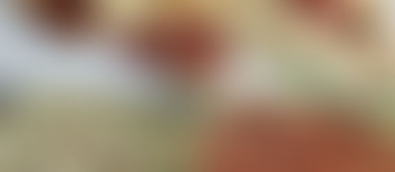                 Zucchini Hackfleisch Rolle 