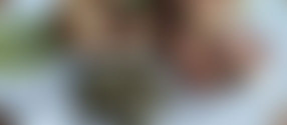 Blumenkohl Gnocchi mit Basilikum Pesto 