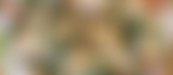        Feldsalat mit Tomaten/Mozzarella