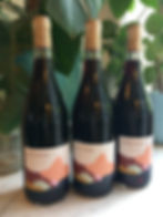 Beau Gosse wine bottles