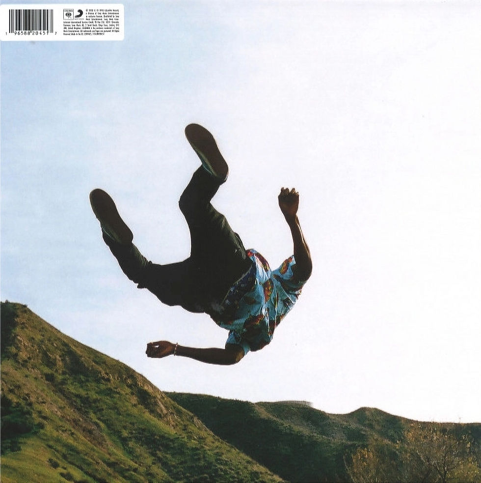 Miniatura: Vinilos De Tyler, The Creator – Wolf