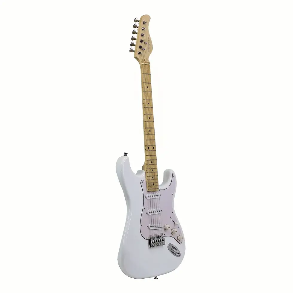 Miniatura: Guitarra Eléctrica Freeman Stratocaster SST-311