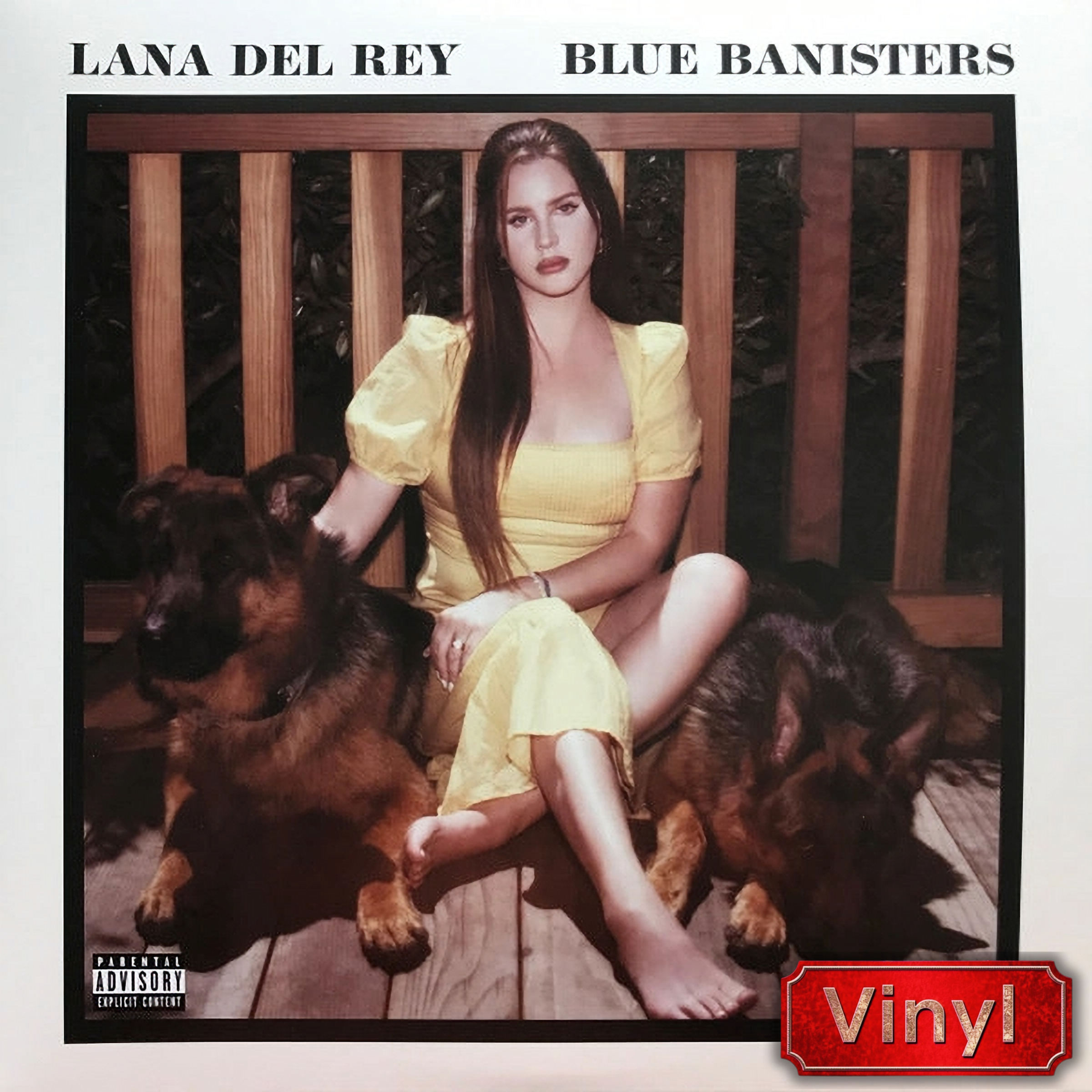 Vinilos De Lana Del Rey – Blue Banisters