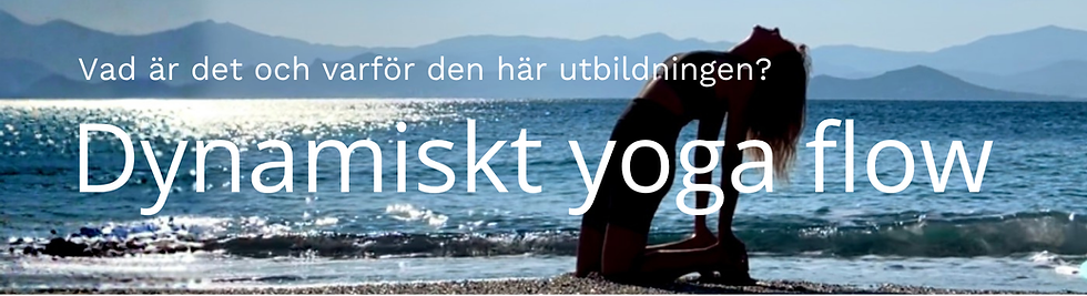 Video omslag_2025 (13).png