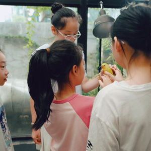 Art Education & Teaching Practice