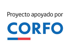 Corfo Consolida y Expande