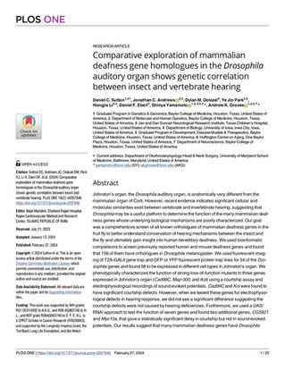 Exploring the expression pattern and function of mammalian deafness genes in Drosophila
