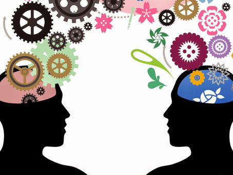 Intelligenza: un breve viaggio nella sua complessità