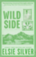 Green book cover of "Wild Side" by Elsie Silver. Features mountains, a wrestler mask, and a wedding couple. Text includes praise from Ana Huang.