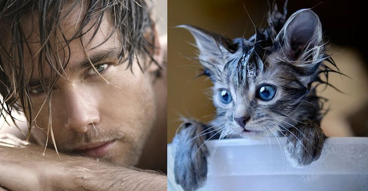 Handsome wet man and wet cat posted by Eve M. Riley, author of The Refusal a Romance Novel from her Mancatmonday series