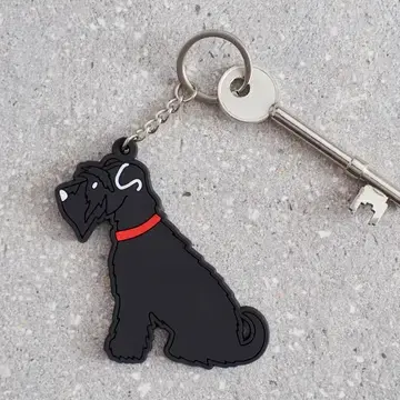 Thumbnail: Doggy Keyrings