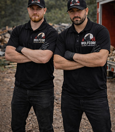 AI-generated visual of Wolfcore Junk Removal team ready to remove furniture, appliances, and debris in Henderson, NV