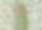 magnifics_upscale-J6hnTck1fOHxWePcSESt-Mehendi_7x5_2.png