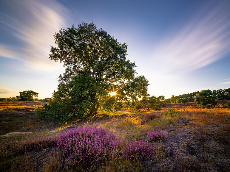 evgenit-sunset-4483767.jpg