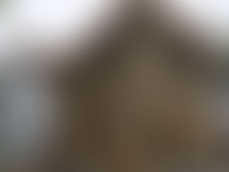 Hemp Housing – The Future of Sustainable Living Introduction: Building a Greener Tomorrow