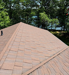 Exterior Roof Cleaning