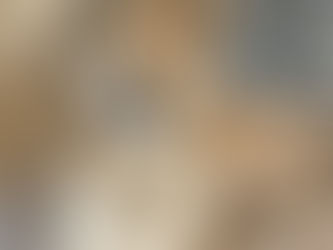 What's with all the Rescue Dog posts on social media?