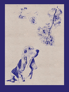 Untitled design (6).png